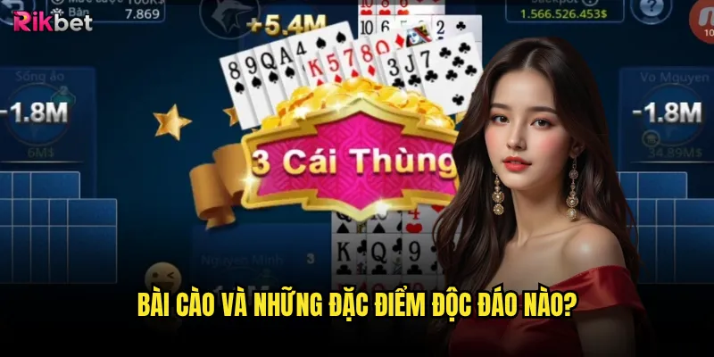 Bài cào và những đặc điểm độc đáo nào?